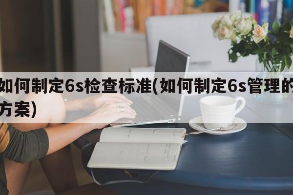 如何制定6s检查标准(如何制定6s管理的方案)